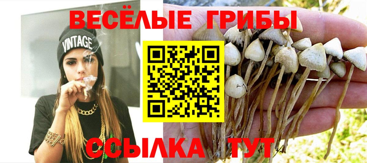 Галлюциногенные грибы MAGIC MUSHROOMS  Вход с VPN  закладка  Волжск 